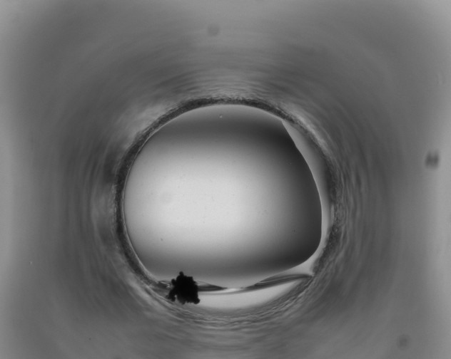 X0000092100677200709191307