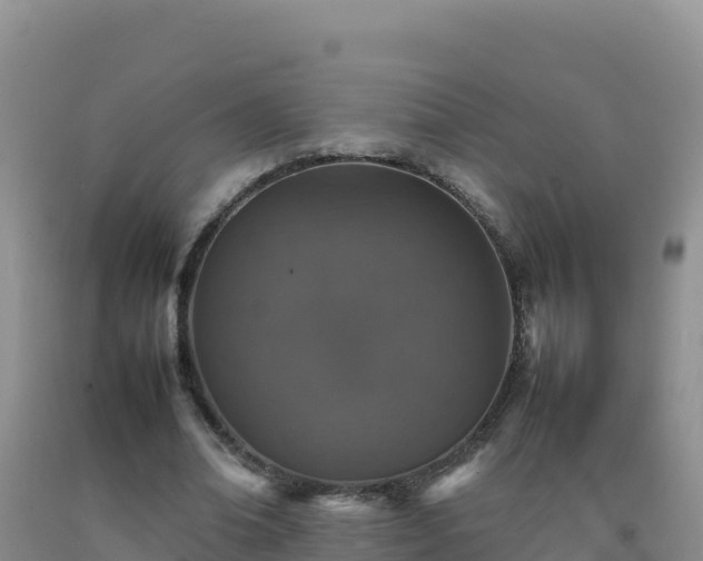 X0000092100678200709191307