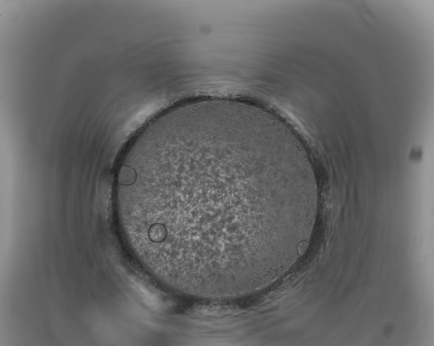 X0000092100679200709191307