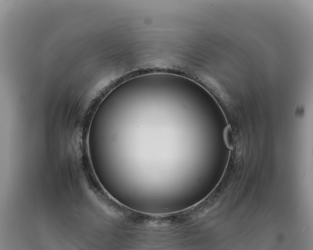 X0000092100680200709191307