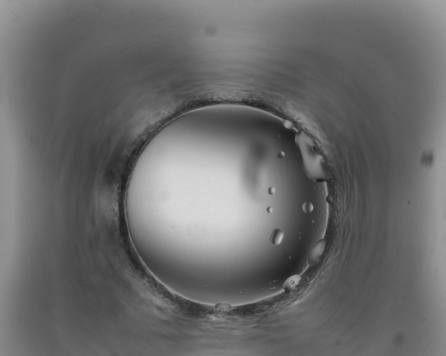 X0000092100681200709191307