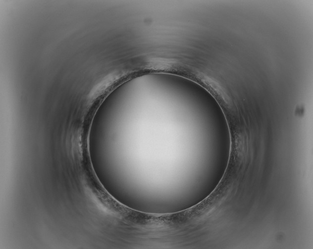 X0000092100682200709191307