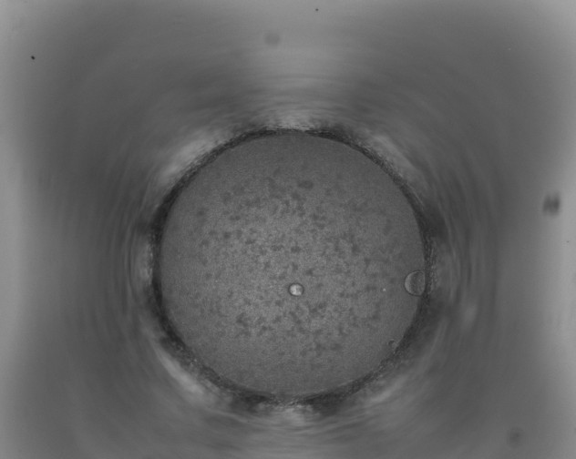 X0000092100683200709191307