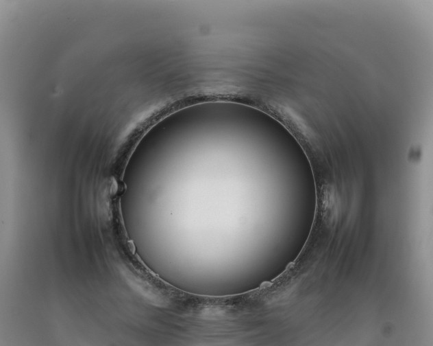 X0000092100684200709191307