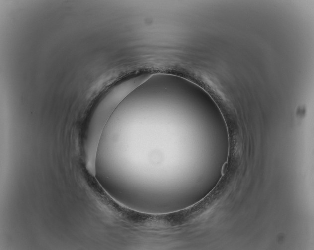 X0000092100685200709191307