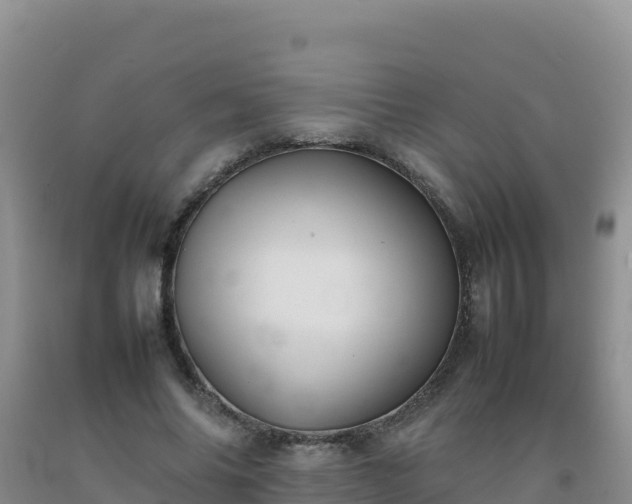 X0000092100686200709191307