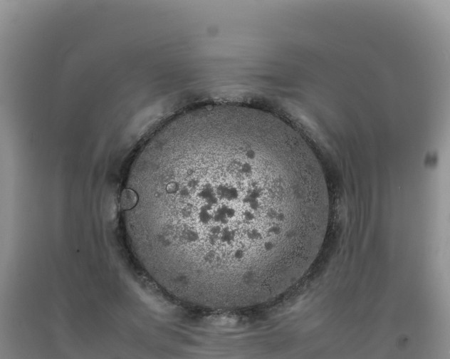 X0000092100687200709191307