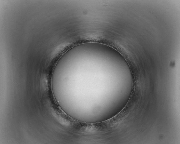 X0000092100688200709191307