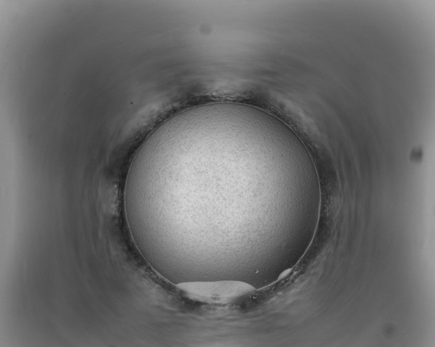 X0000092100689200709191307