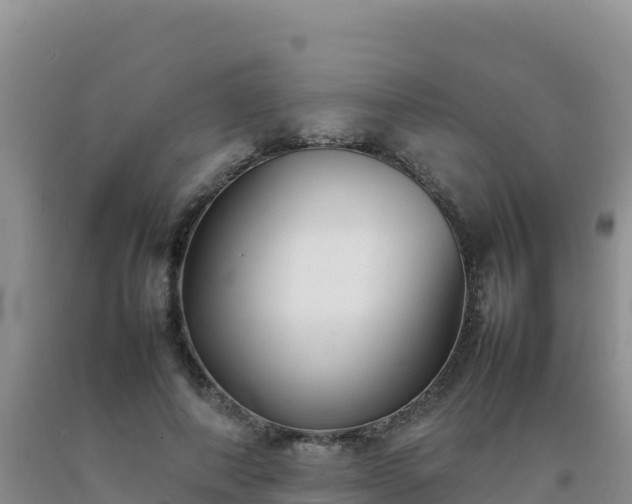 X0000092100690200709191307