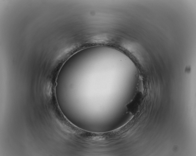 X0000092100692200709191307