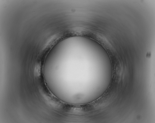 X0000092100694200709191307