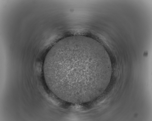 X0000092100695200709191307