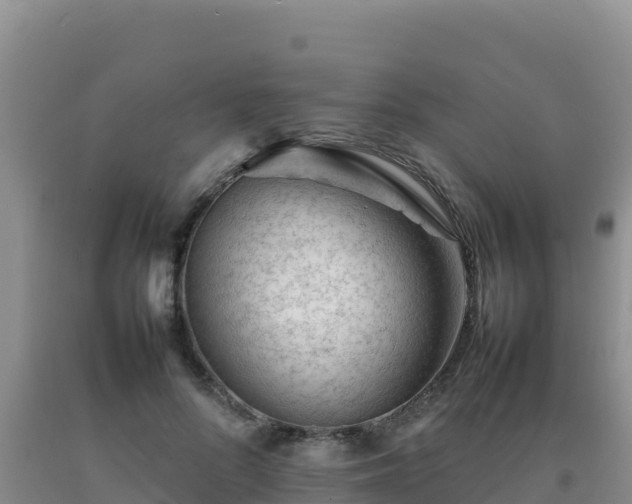 X0000092100696200709191307