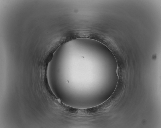 X0000092100697200709191307