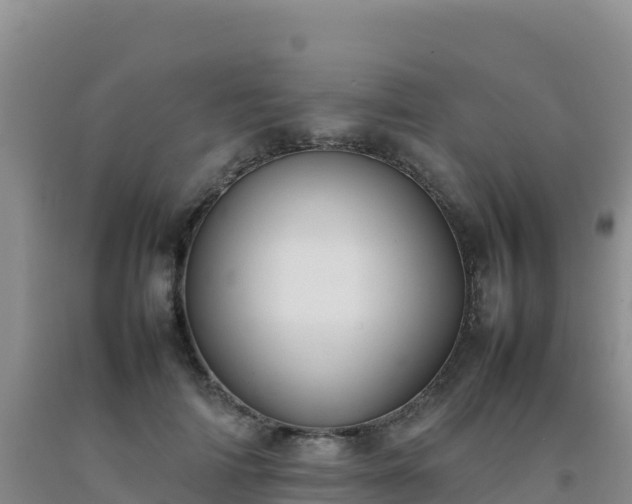 X0000092100698200709191307