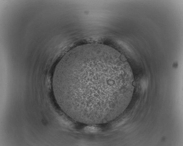 X0000092100699200709191307