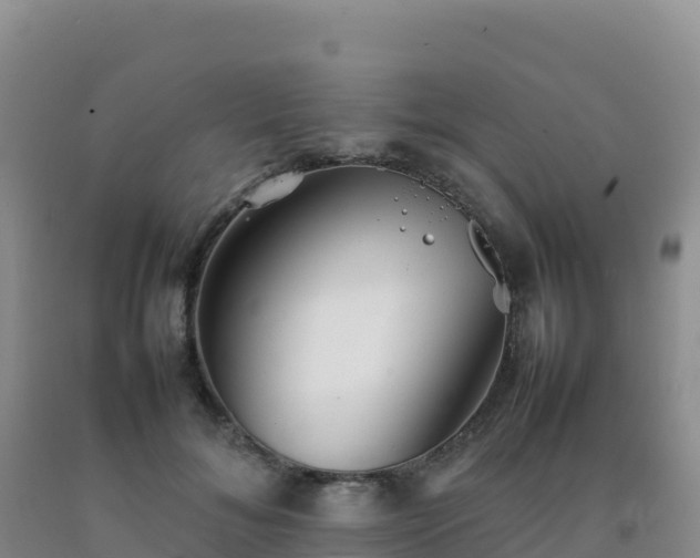 X0000092100700200709191307