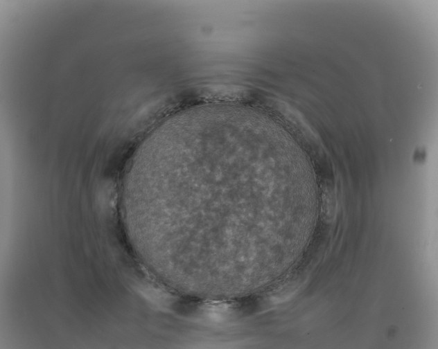 X0000092100701200709191307