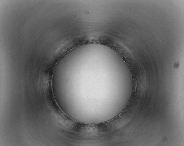 X0000092100702200709191307