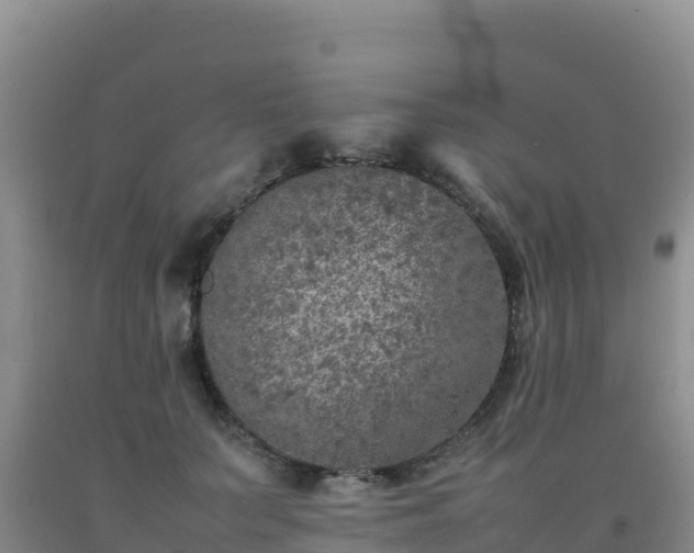 X0000092100703200709191307