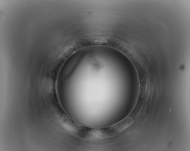 X0000092100704200709191307