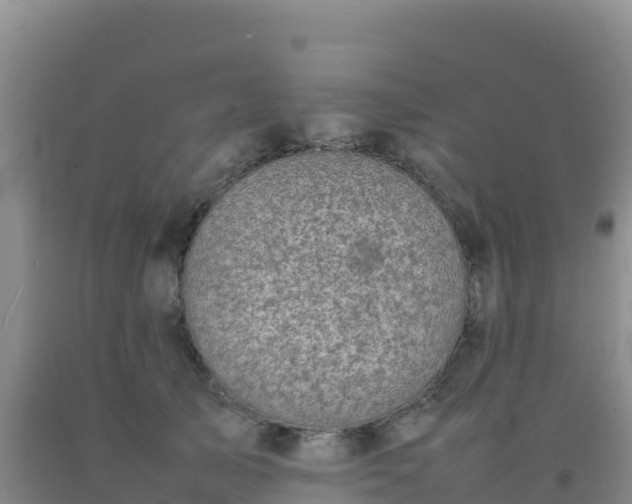 X0000092100705200709191307