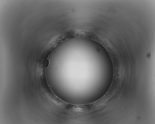 X0000092100706200709191307