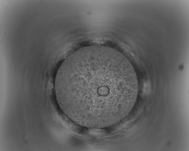 X0000092100707200709191307