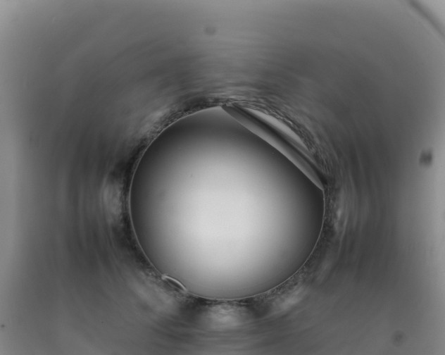 X0000092100708200709191307