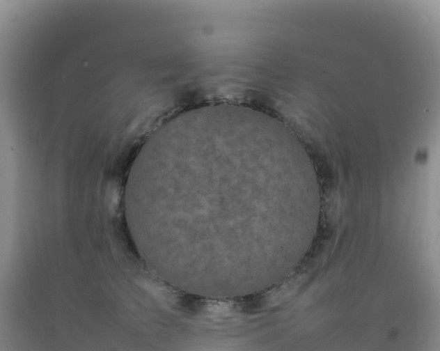 X0000092100709200709191307