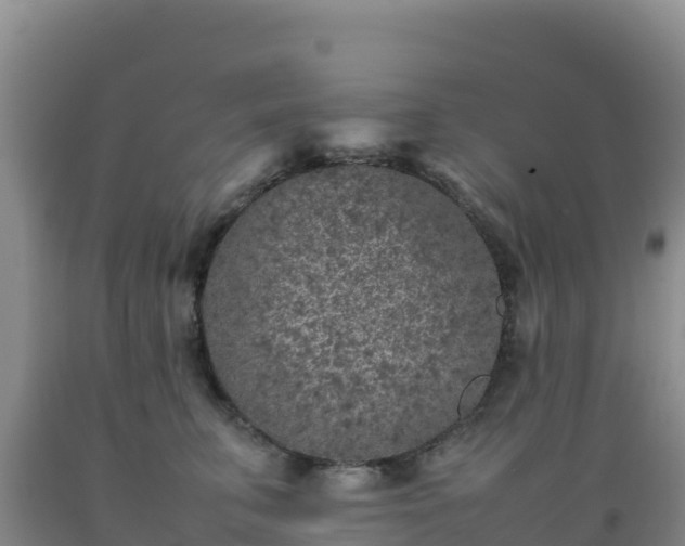 X0000092100711200709191307