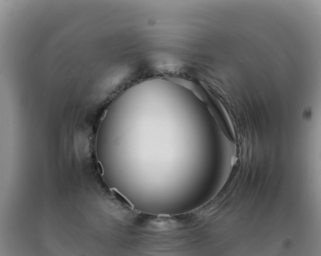 X0000092100712200709191307