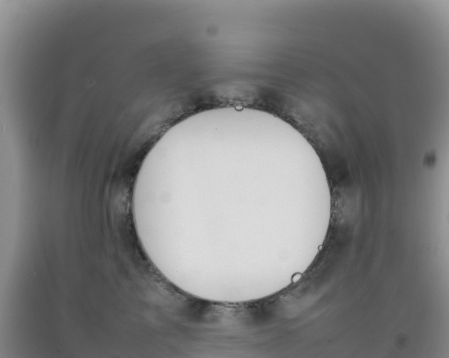 X0000092100713200709191307