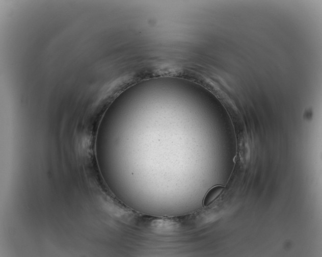 X0000092100714200709191306