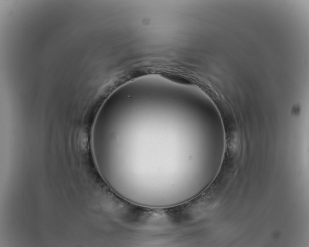 X0000092100715200709191306