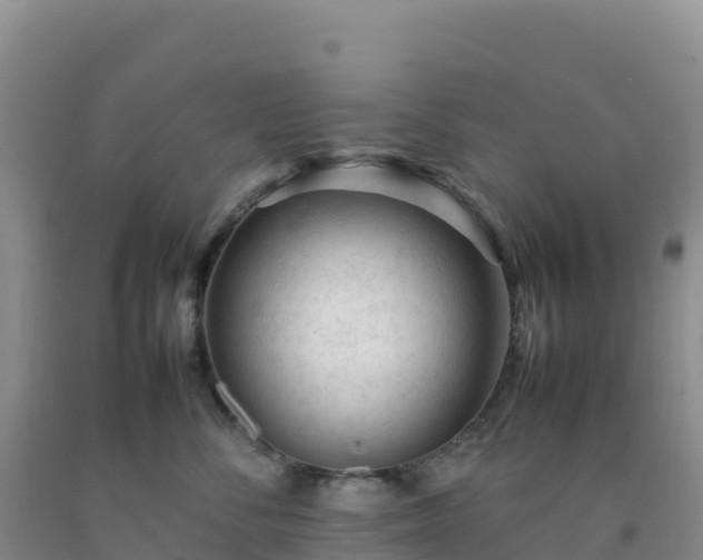 X0000092100716200709191306