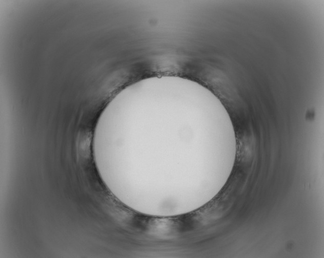 X0000092100717200709191306