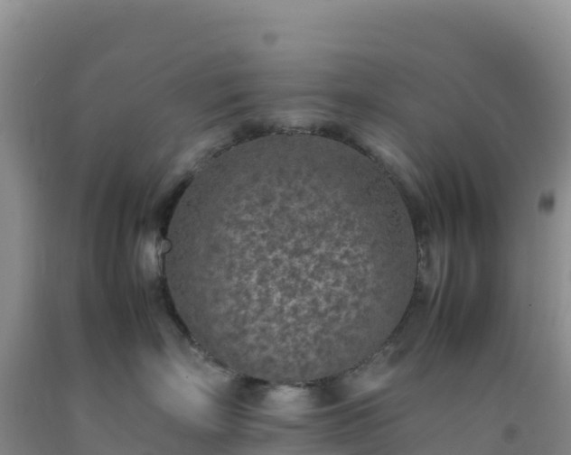 X0000092100718200709191306