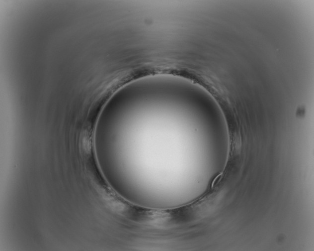 X0000092100719200709191306