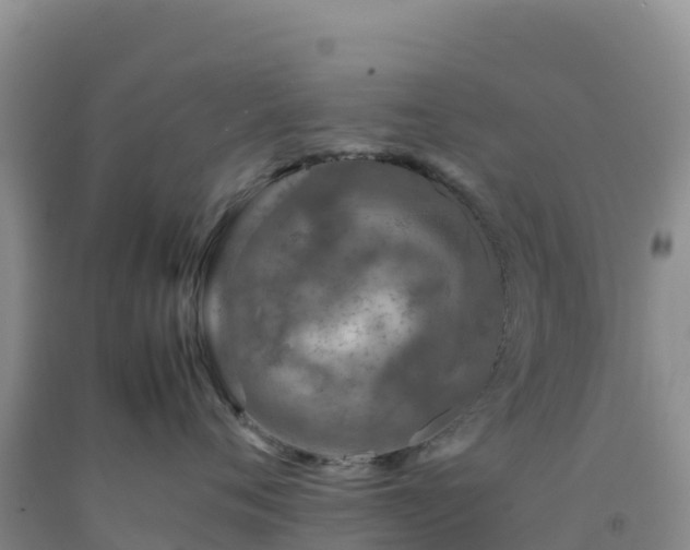 X0000092100720200709191306