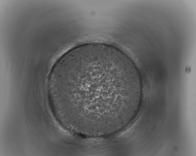 X0000092100721200709191306