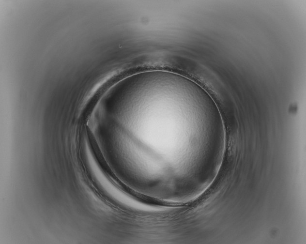 X0000092100722200709191306