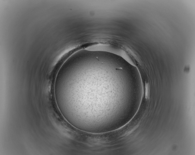 X0000092100723200709191306