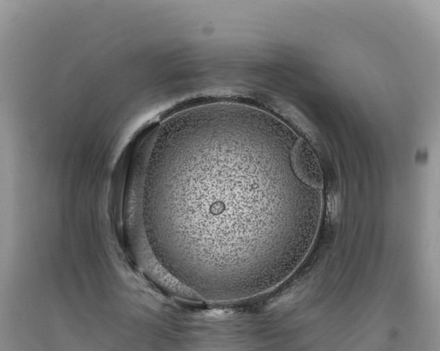 X0000092100724200709191306