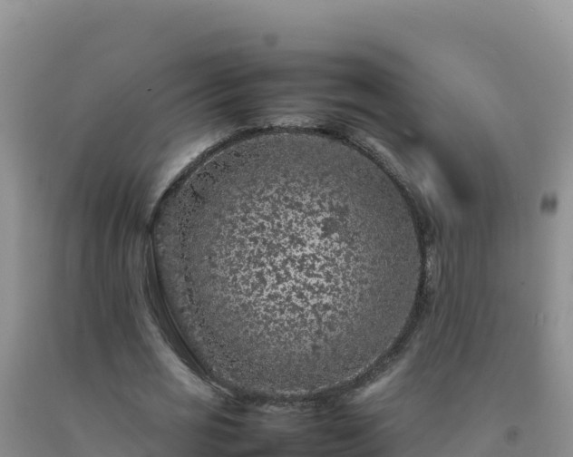 X0000092100725200709191306