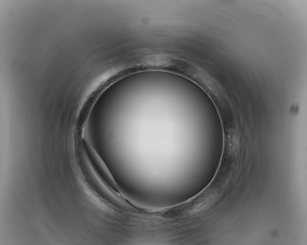 X0000092100726200709191306