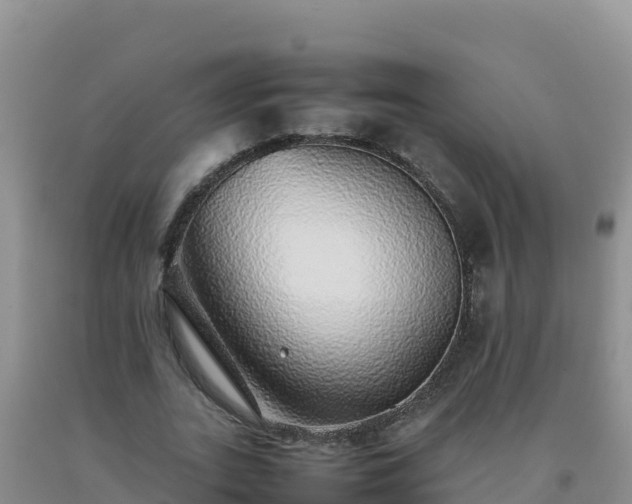 X0000092100727200709191306