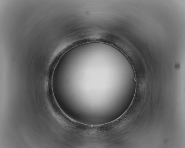 X0000092100728200709191306