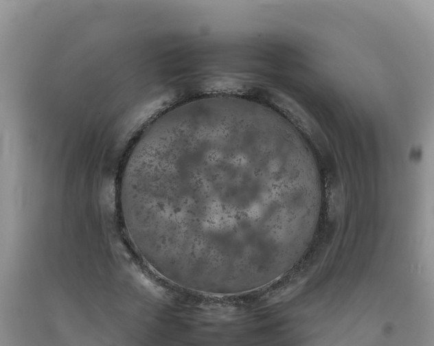 X0000092100729200709191306